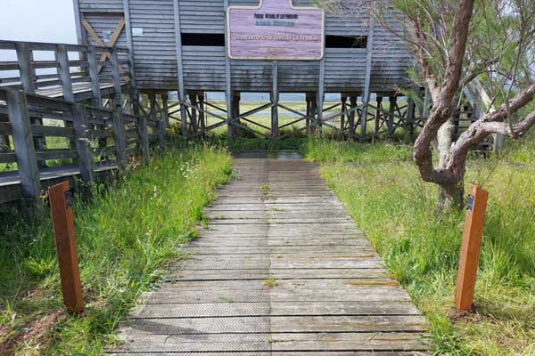 observatorio_aves_santoña