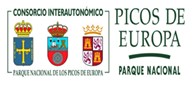 logo picos