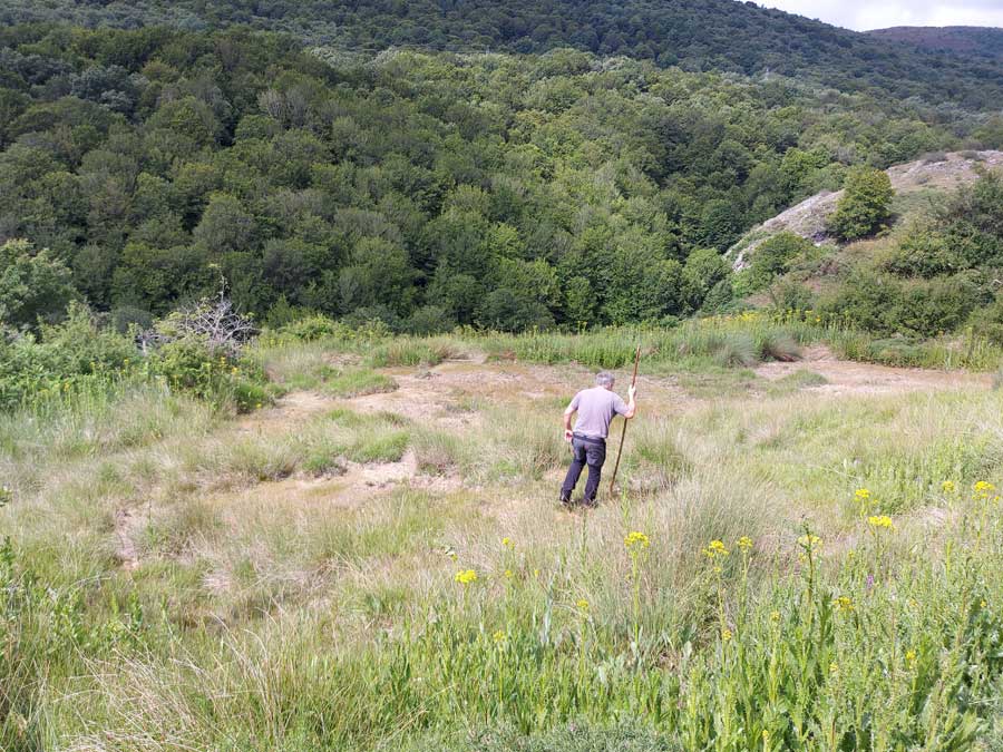 Turbera de Abiada