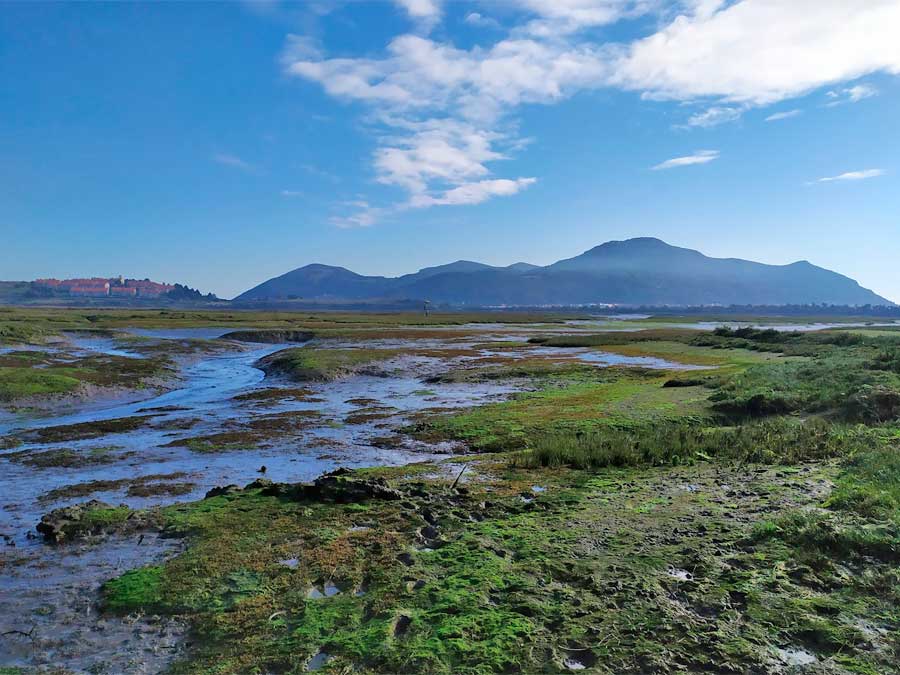 Marismas de Santoña